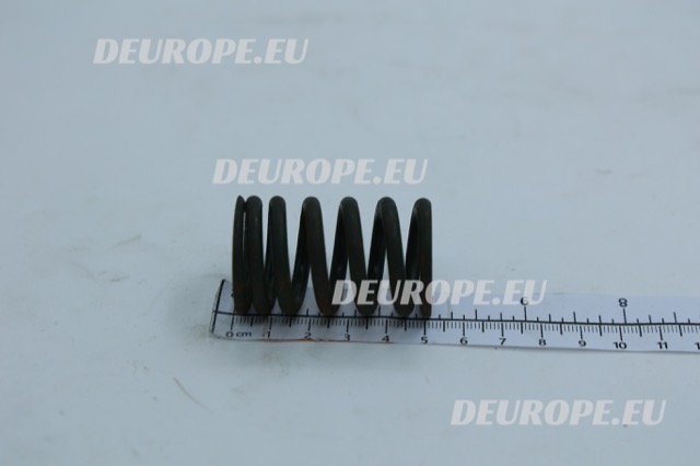 VALVE SPRING